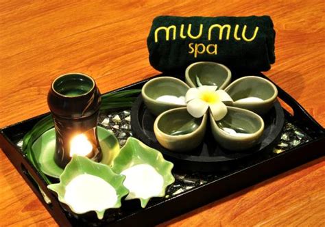 MIU MIU SPA 1: All You Need to Know BEFORE You .